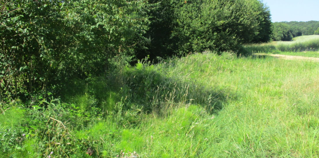 Suppression des ronces ruisseau du Millebordeaux.