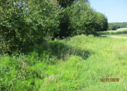 Suppression des ronces ruisseau du Millebordeaux.