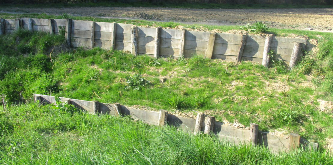 Protection des berges