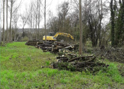 Le Trec à Marmande