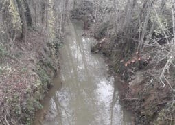 Après travaux restauration de la végétation