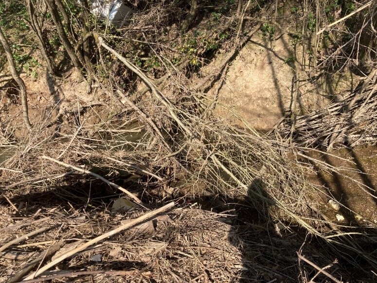 Photographie de quelques embâcles présents sur le ruisseau du Milieu