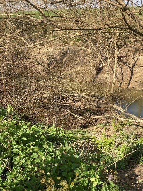 Photographie de quelques embâcles présents dans la Gupie