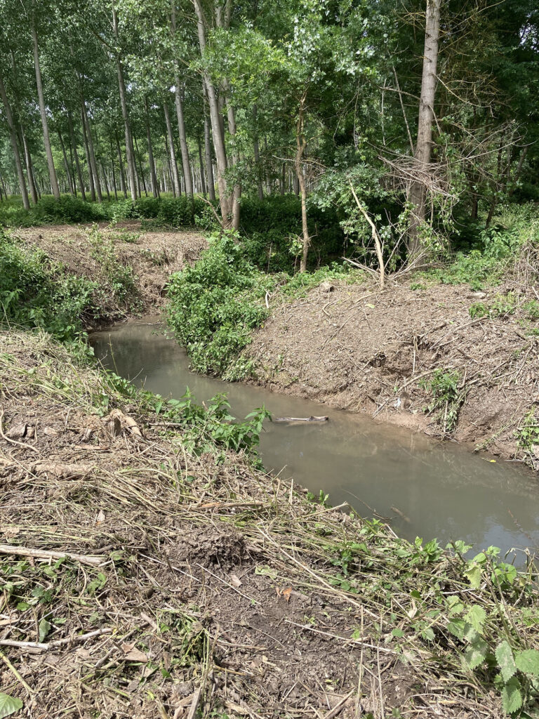 quelques embâcles présents sur le ruisseau du Milieu