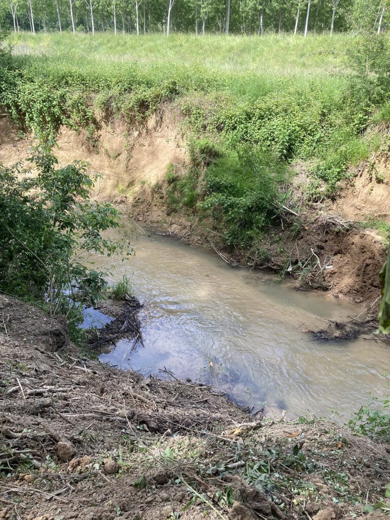 quelques embâcles présents dans la Gupie