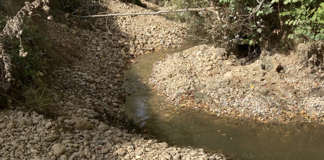 restauration hydromorphologique sur le bassin versant de la Gupie