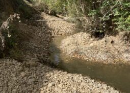 restauration hydromorphologique sur le bassin versant de la Gupie