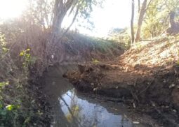 restauration de la végétation sur le bassin versant du Médier – Jorle/Paradis