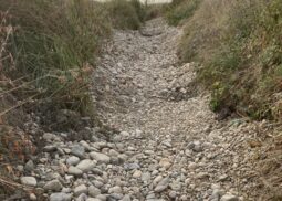 restauration hydromorphologique sur le bassin versant Jorle/Paradis