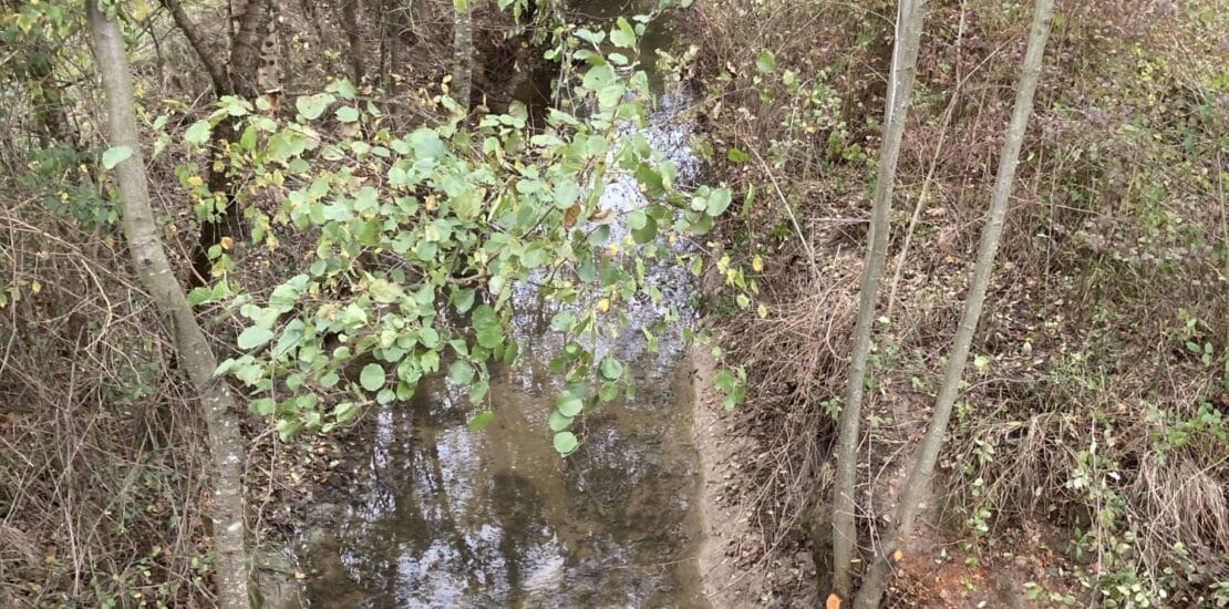 Restauration de la végétation sur le bassin versant du Trec