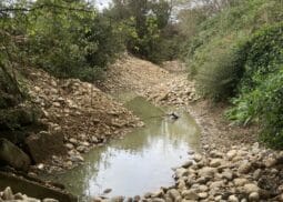 Travaux de restauration hydromorphologique sur le bassin versant du Trec