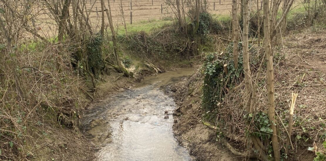 restauration de la végétation sur le bassin versant du Médier – Jorle/Paradis