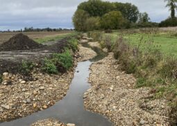 Restauration hydromorphologique sur le bassin versant Jorle/Paradis