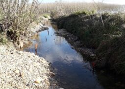 restauration hydromorphologique financés par Val de Garonne Agglomération