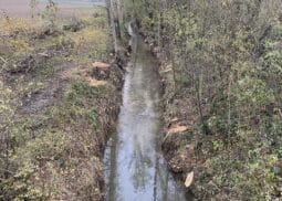 La Canaule : 3 600 m de cours d’eau