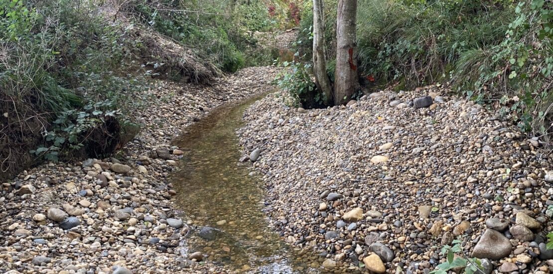 restauration hydromorphologique sur le bassin versant du Trec