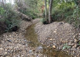 restauration hydromorphologique sur le bassin versant du Trec