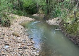 Restauration hydromorphologique sur le bassin versant de la Gupie