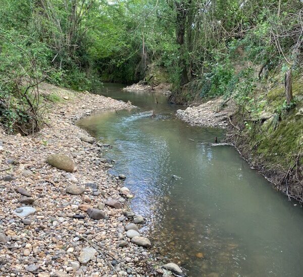 Restauration hydromorphologique sur le bassin versant de la Gupie