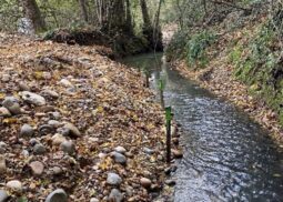 Travaux de restauration hydromorphologique sur le bassin versant de la Gupie