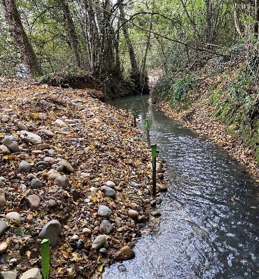 Travaux de restauration hydromorphologique sur le bassin versant de la Gupie