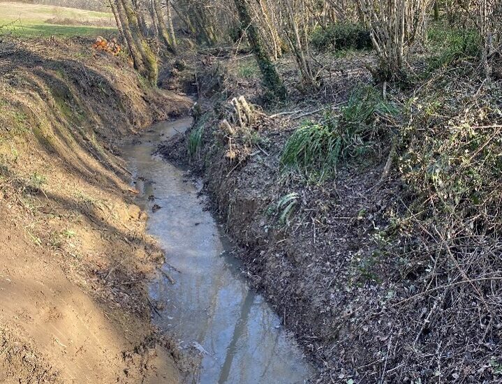 Travaux 2024/2025 : restauration de la végétation sur le bassin versant du Médier – Jorle/Paradis