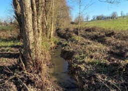 Restauration de la végétation sur le bassin versant du Trec
