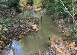 Travaux de restauration hydromorphologique sur le bassin versant du Trec