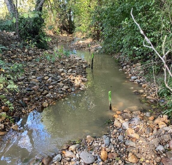 Travaux de restauration hydromorphologique sur le bassin versant du Trec